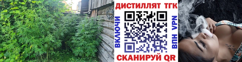 OMG онион  Красный Холм  Дистиллят ТГК гашишное масло 
