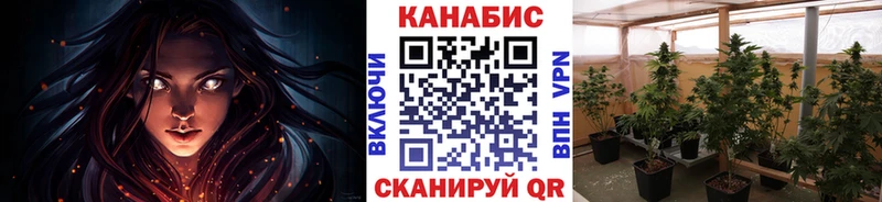 Шишки марихуана планчик  наркота  Красный Холм 